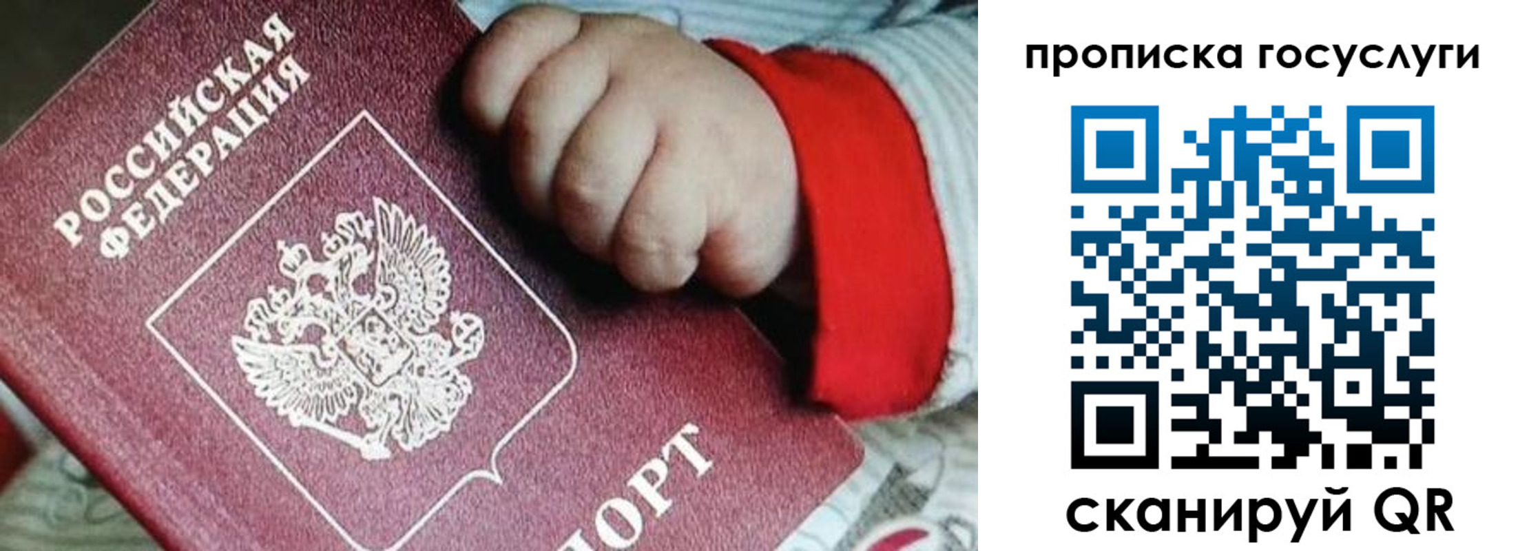прописка штамп в Новом Осколе